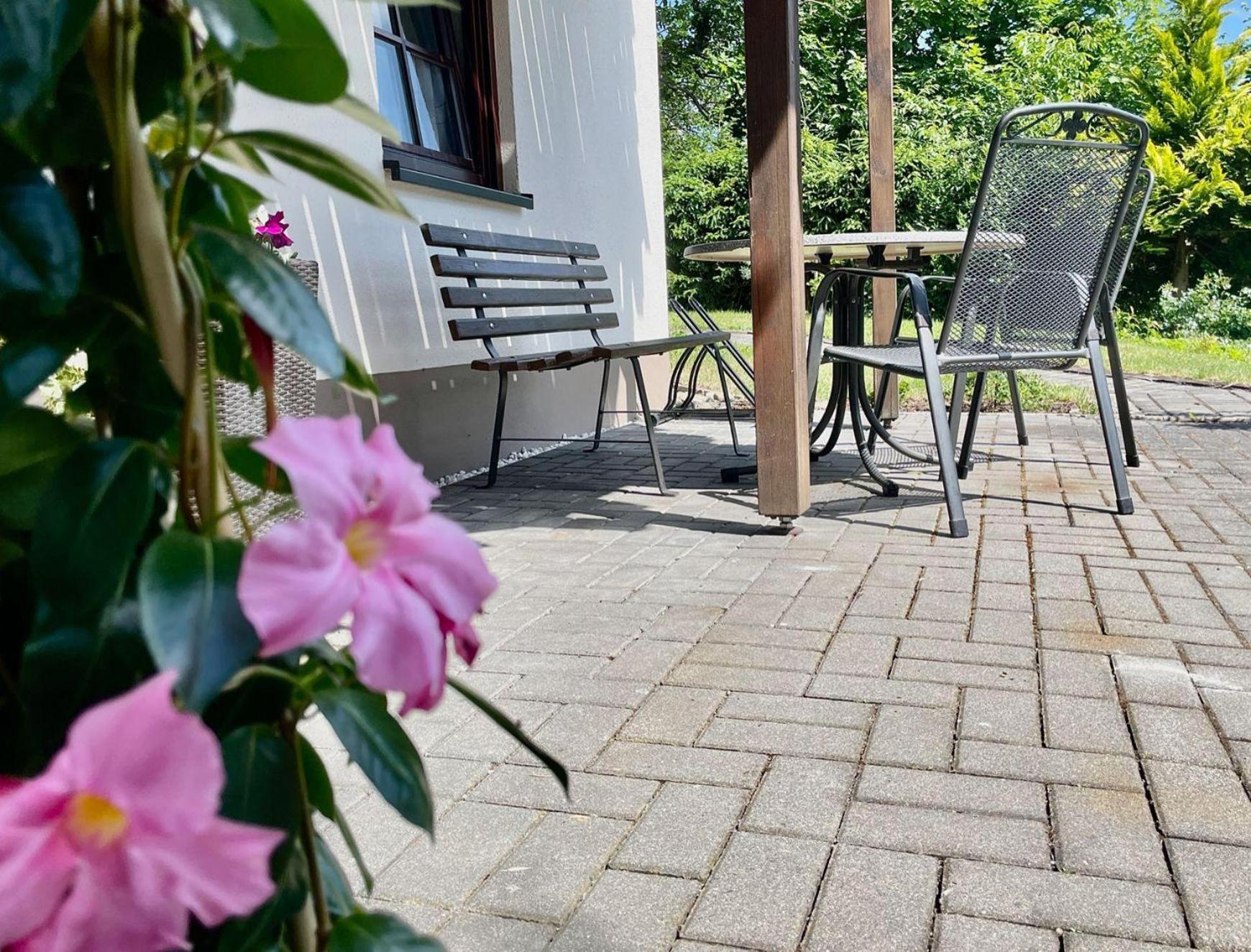 Ferienwohnung-Am-Suedhang Muglitztal Dış mekan fotoğraf