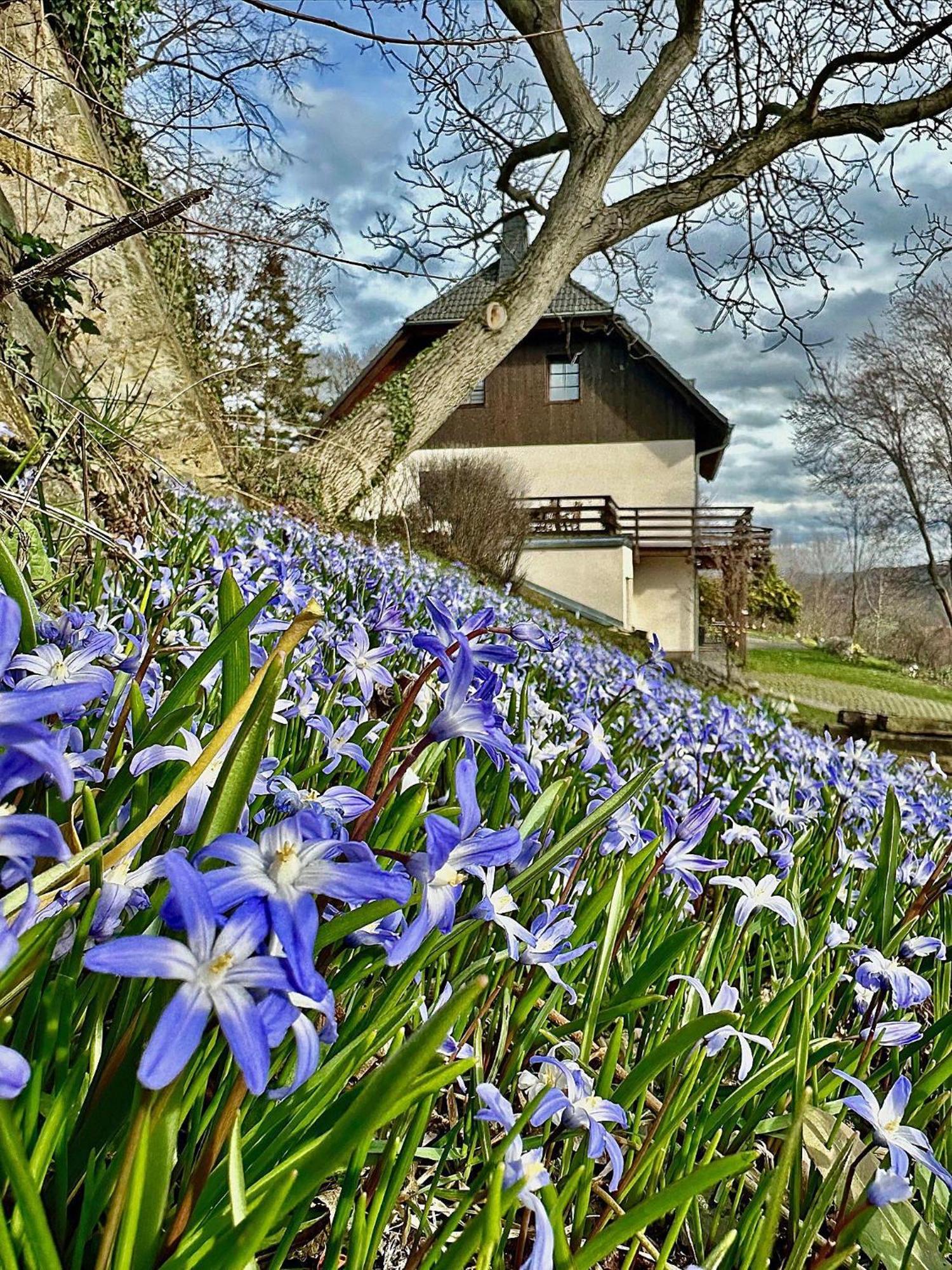 Ferienwohnung-Am-Suedhang Muglitztal Dış mekan fotoğraf