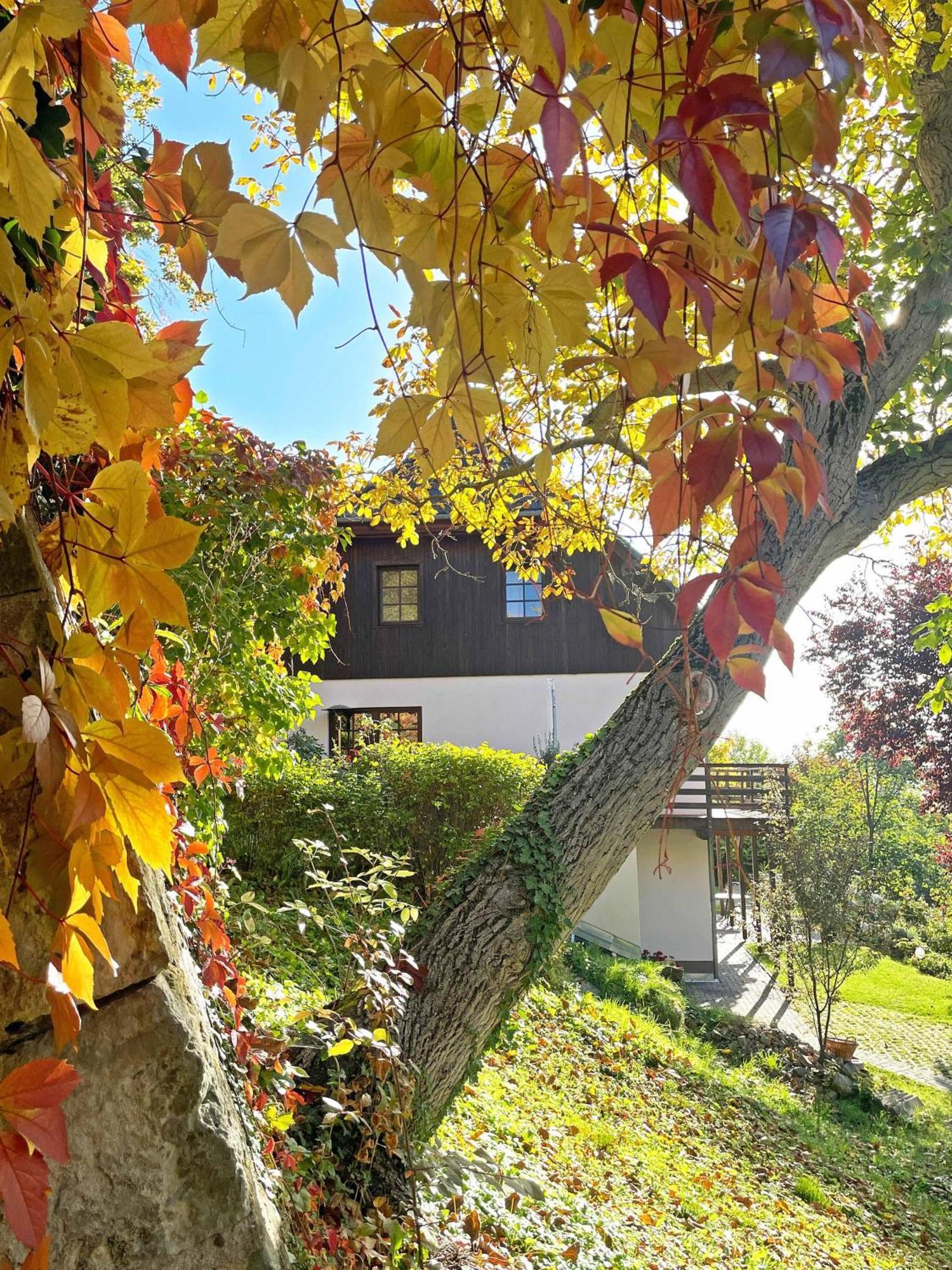 Ferienwohnung-Am-Suedhang Muglitztal Dış mekan fotoğraf